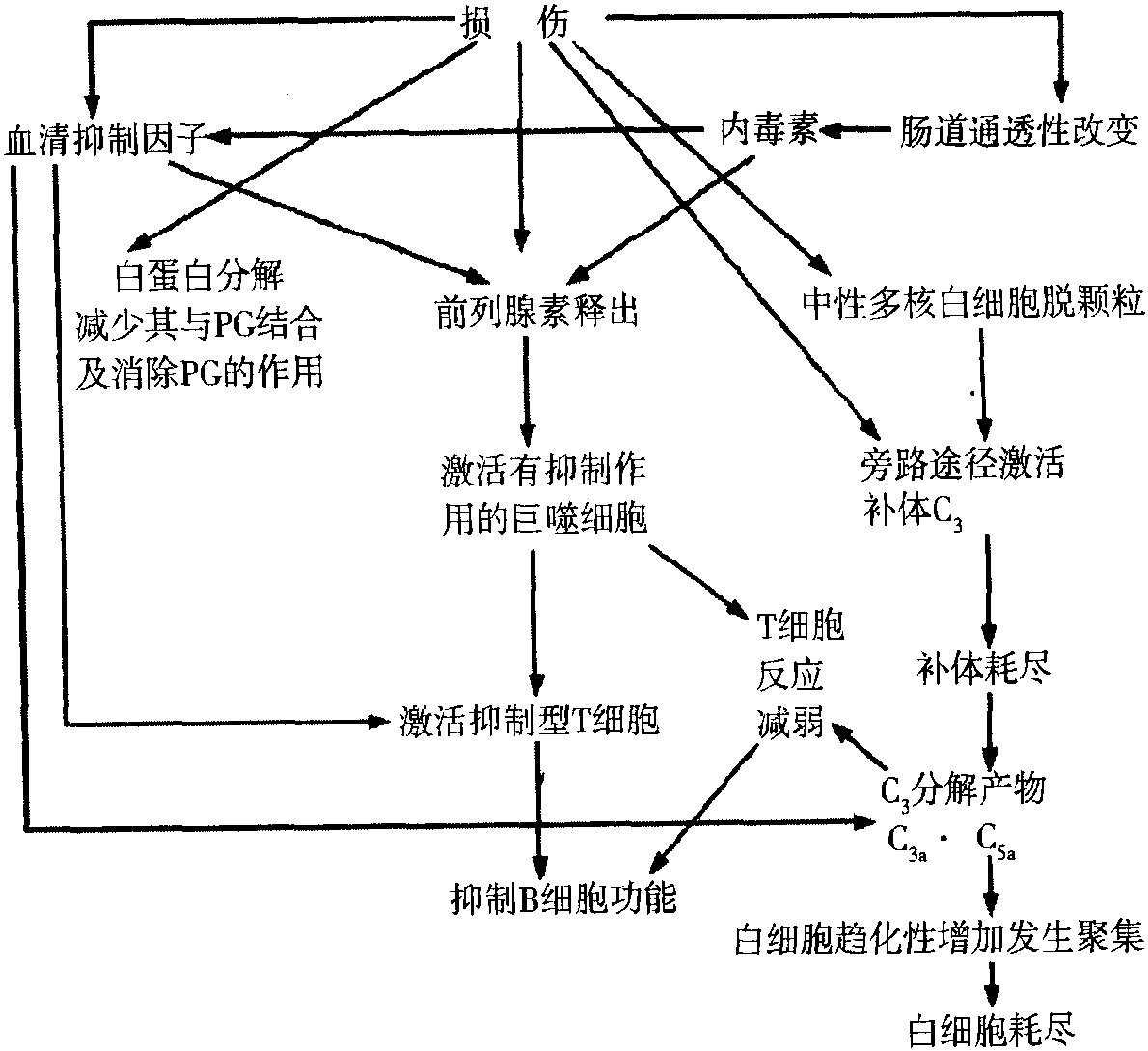 四、創(chuàng)傷后免疫反應(yīng)的變化